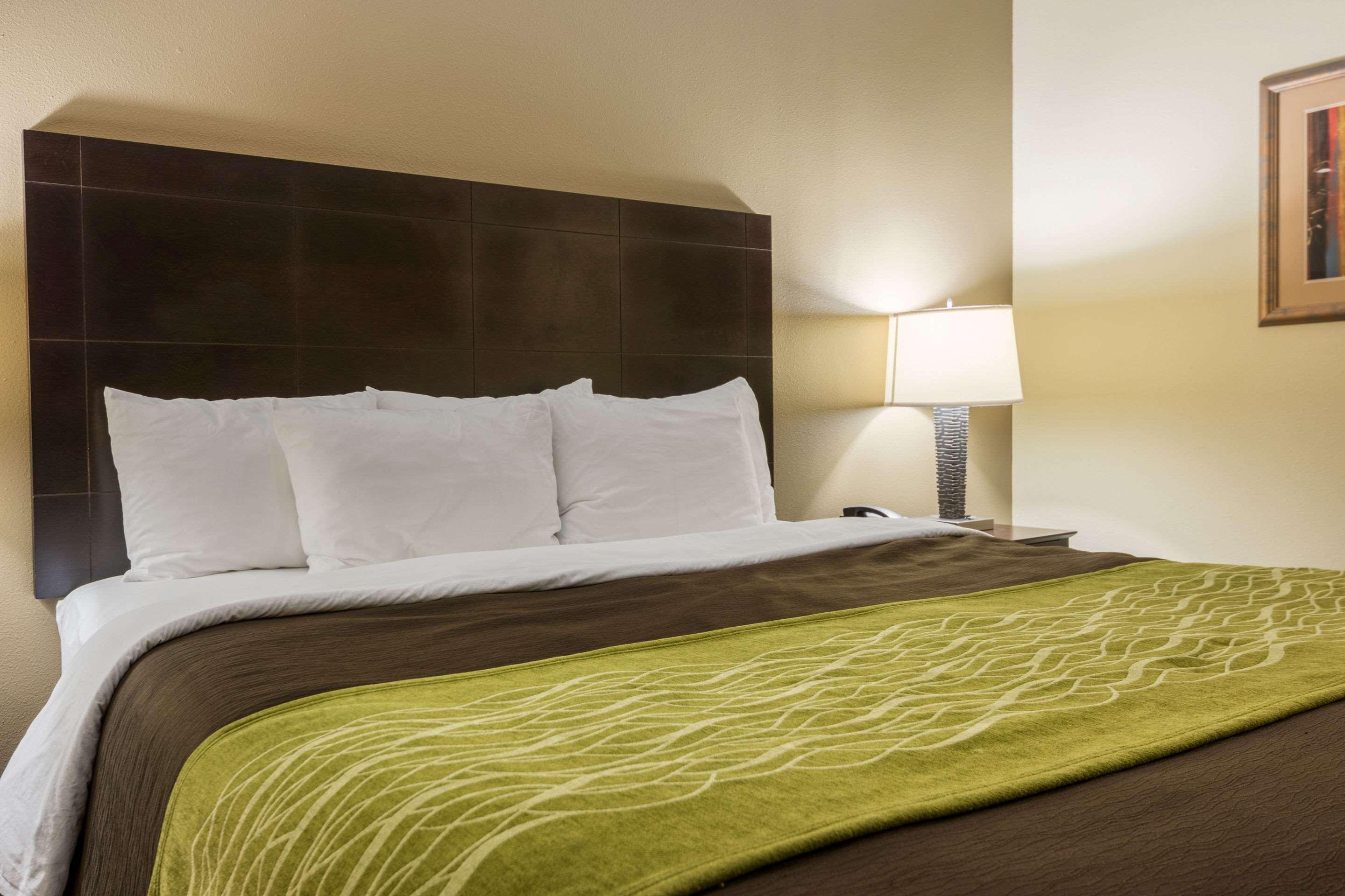 Comfort Inn & Suites Scott-West Lafayette Buitenkant foto